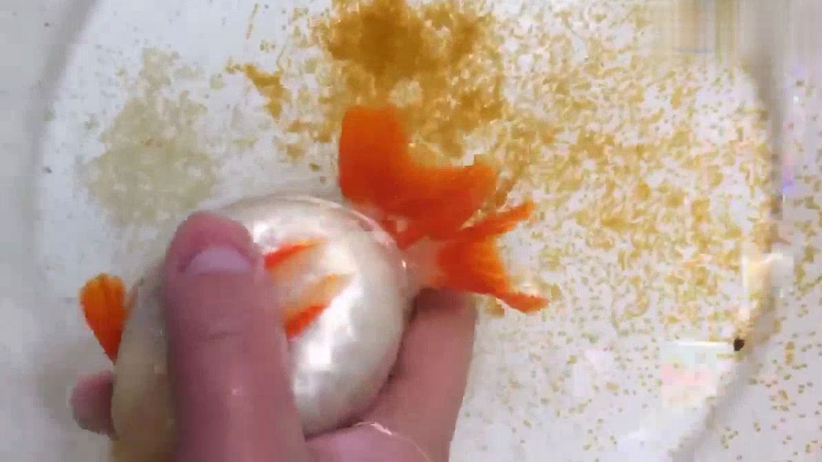 金鱼追星?挤一挤