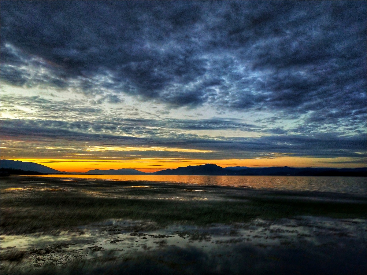 大理大学官网地址 - 大理大学官方网站