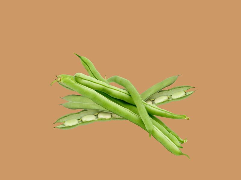 四季豆:又叫菜豆,芸扁豆,四月豆