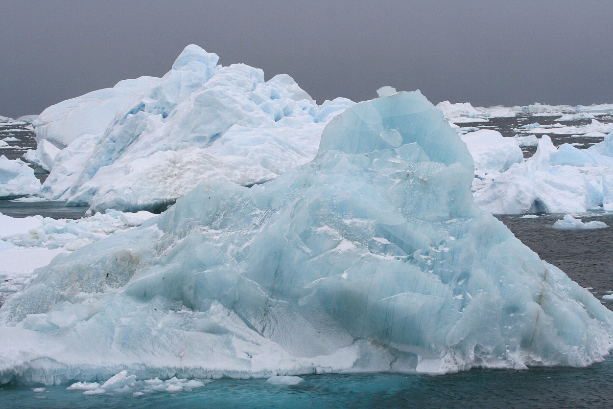 在长江源头各拉丹冬读读写写