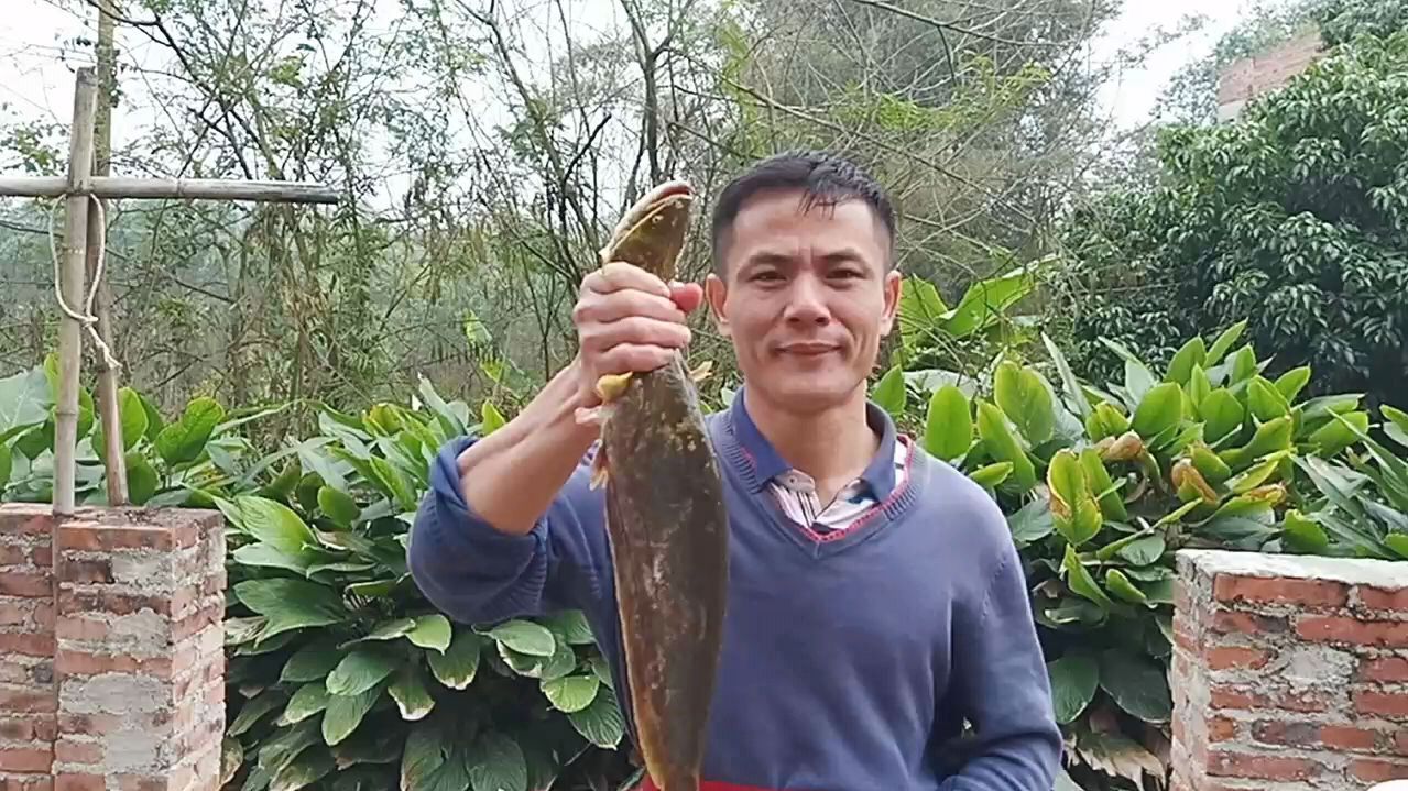 广东人吃河鲜到底怎么做好吃,大厨教你家常做法一学就会鱼肉嫩滑