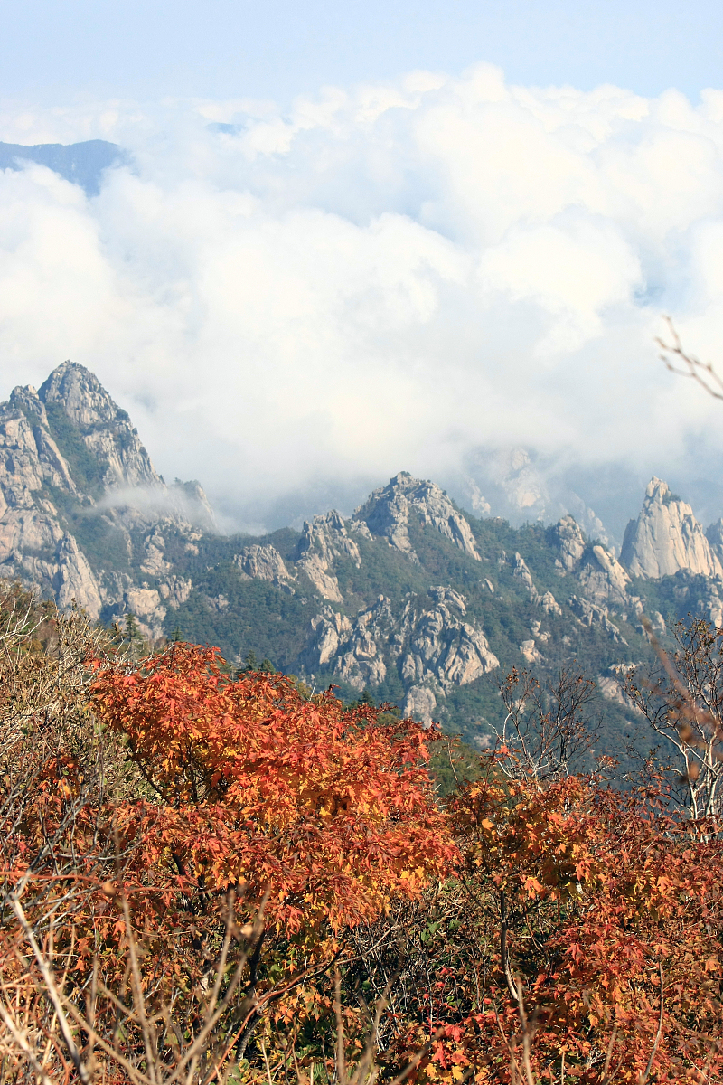 当地时间2012年9月25日,韩国雪岳山大青峰山路上出现今年第一丛红叶,