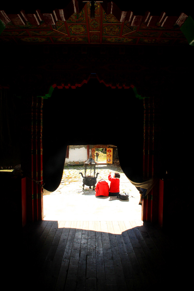 丁真珍珠现象：从外貌争议到社会思考