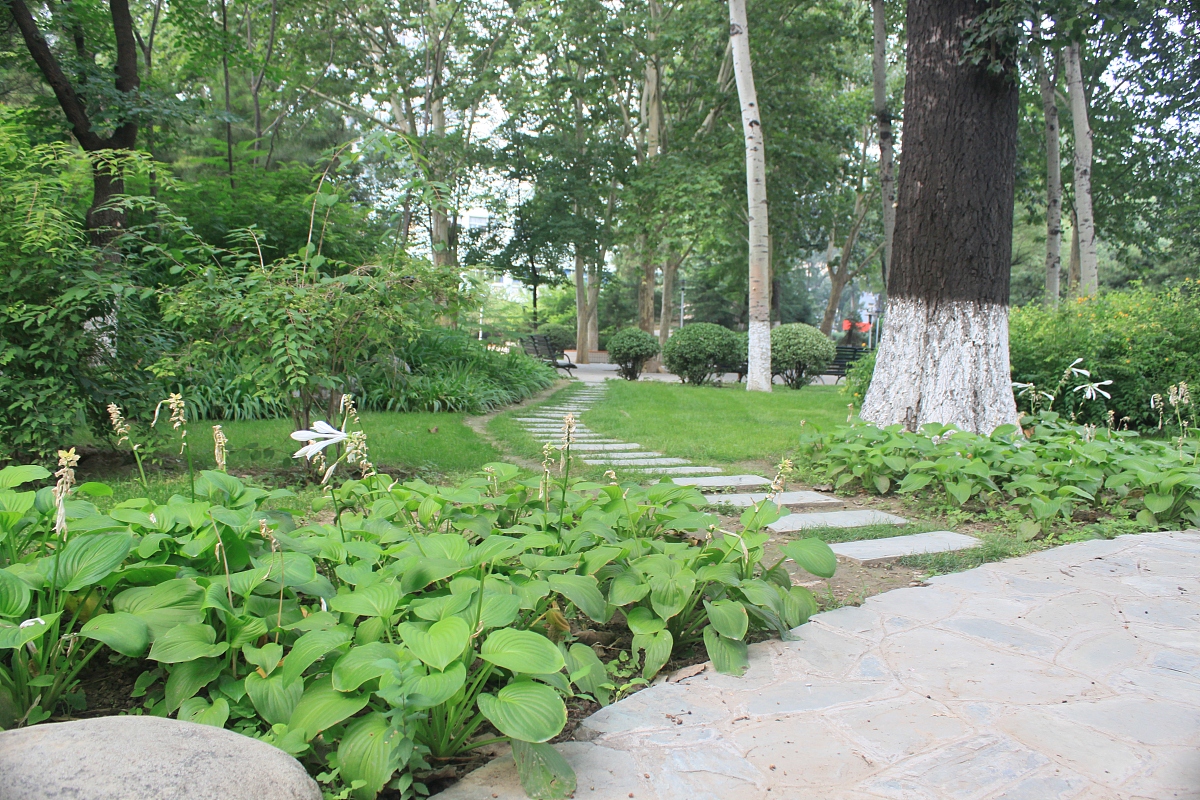 四川仪表工业学校2019年招生简章及计划 - 培养高素质技术人才