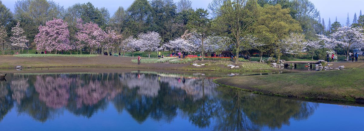杭州江南专修学院2023招生介绍