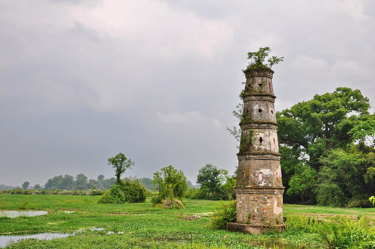 什么是等补四边形？定义及性质详解
