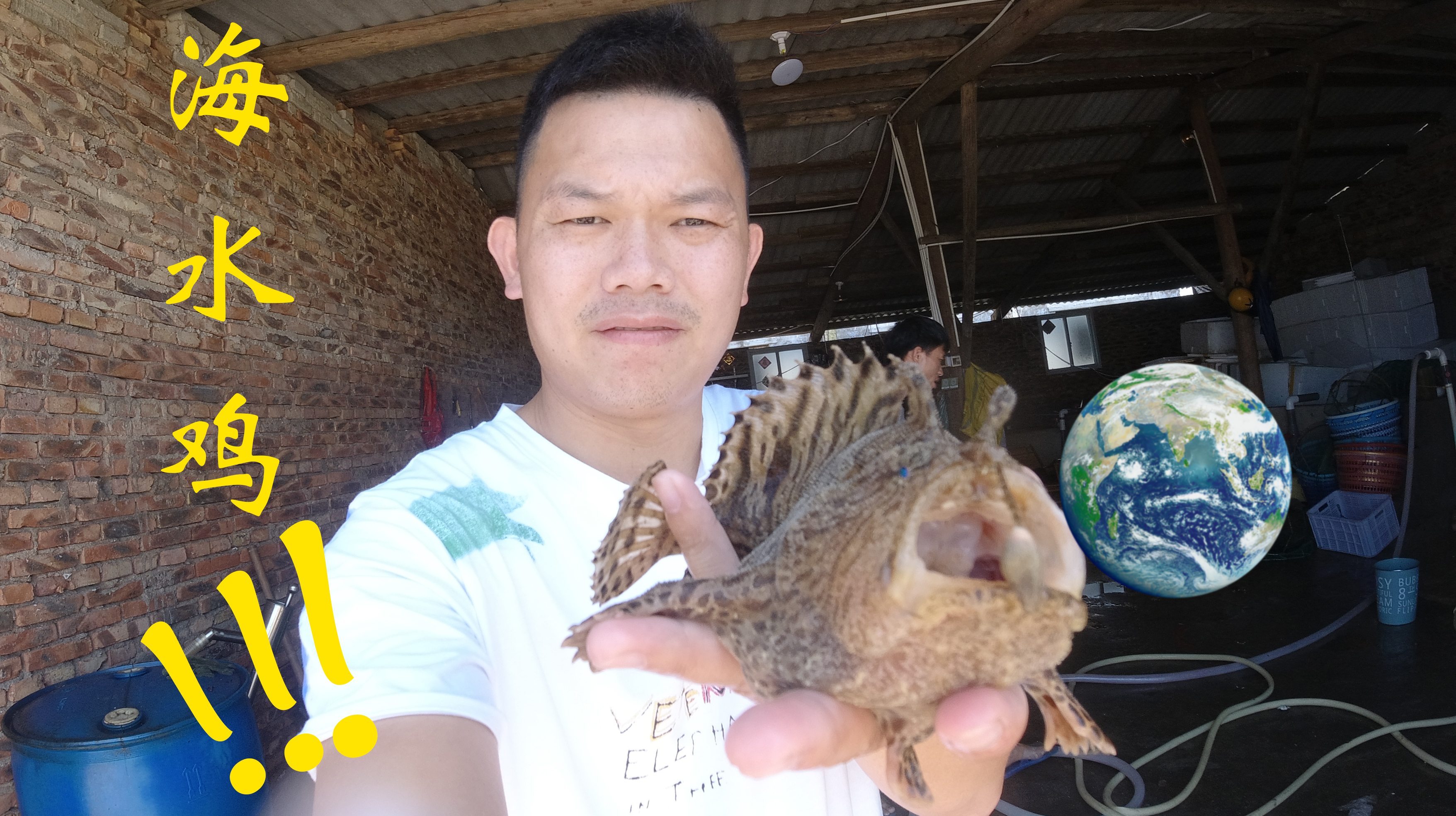 罐头兄弟赶海抓到“海水鸡”,这种鱼居然有两只脚,真是稀奇