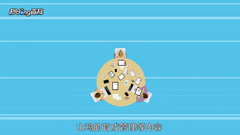 一分钟读懂山鸡养殖技术