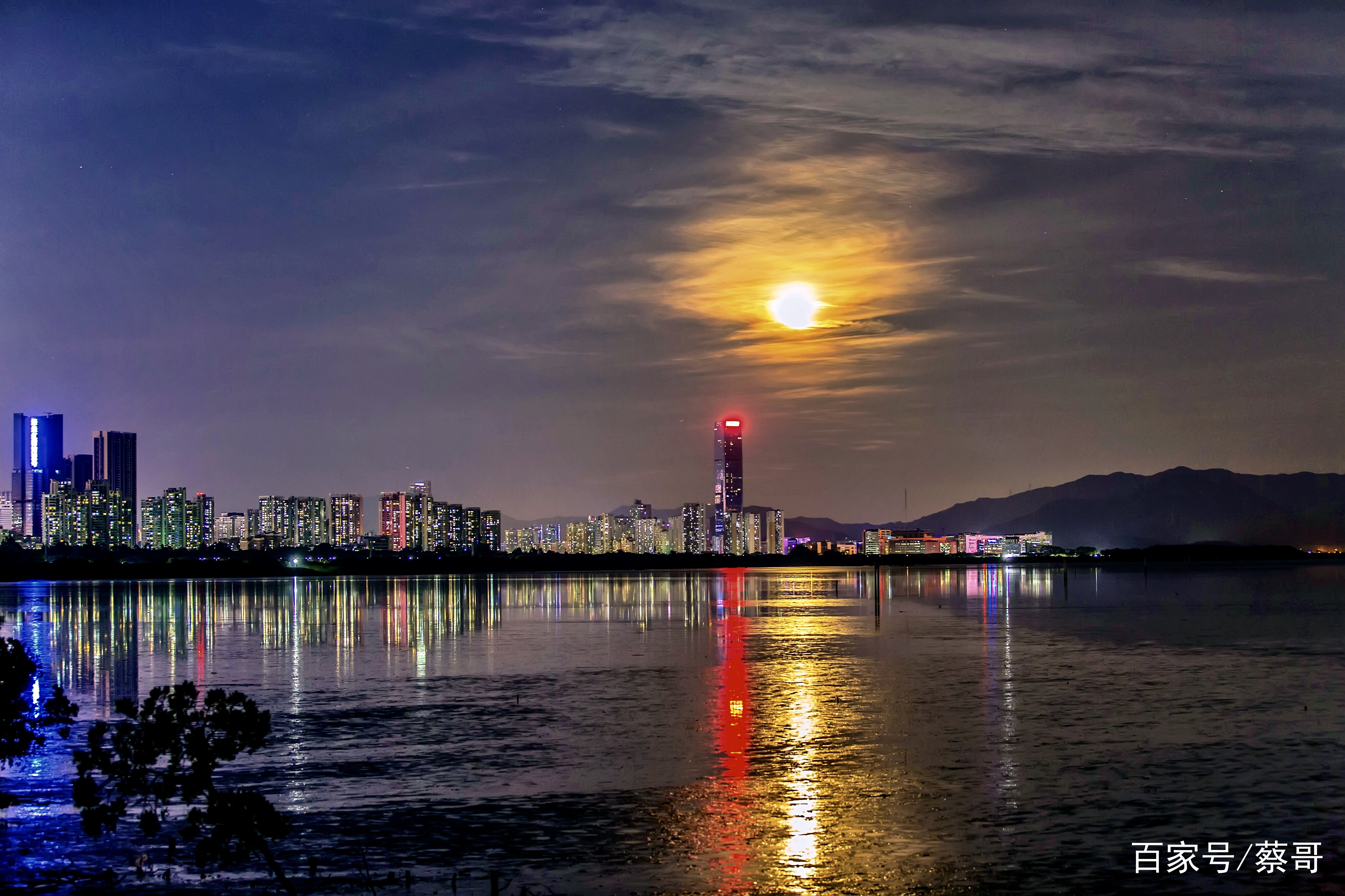 深圳红树林夜景也妖娆