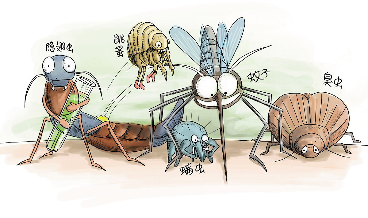 如何防治蠓虫
