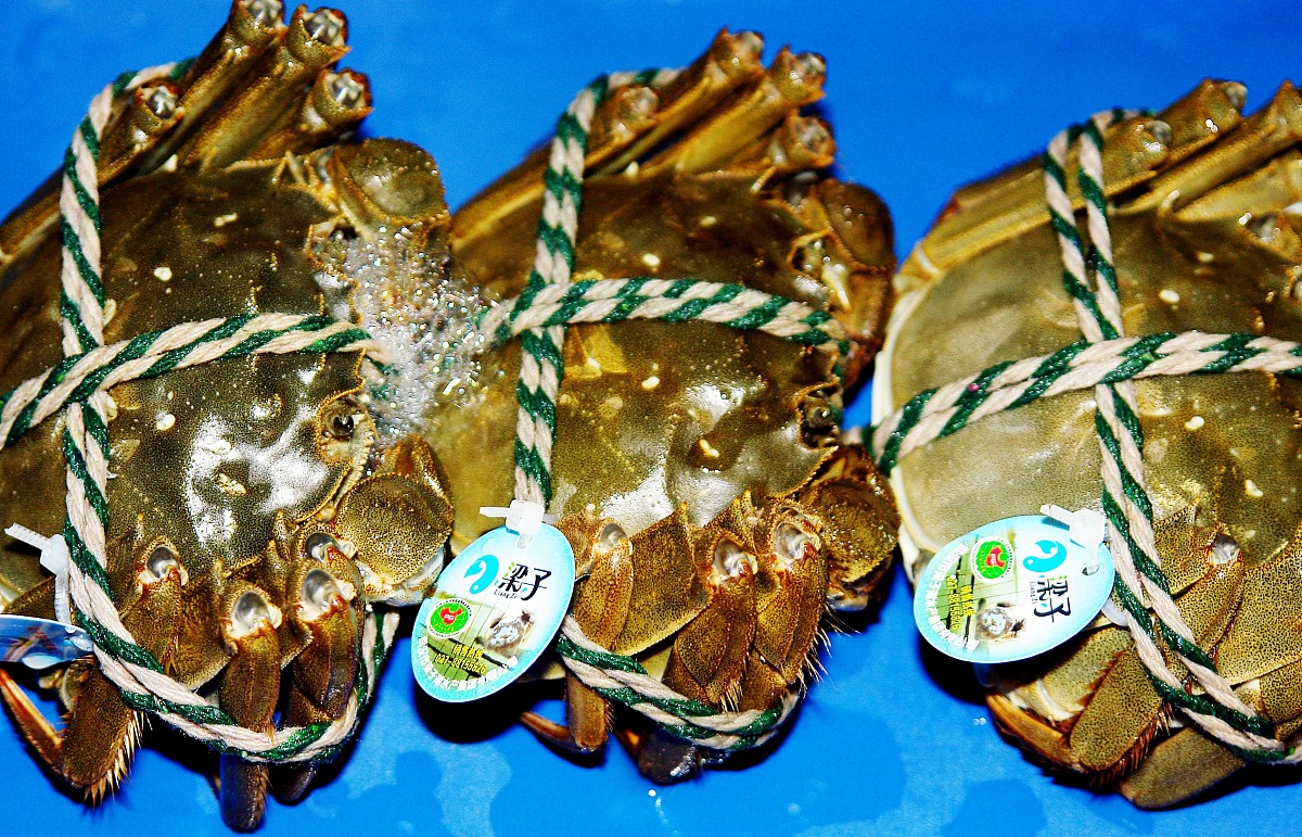 2019年四川省水产学校招生专业及计划 - 培养水产养殖人才