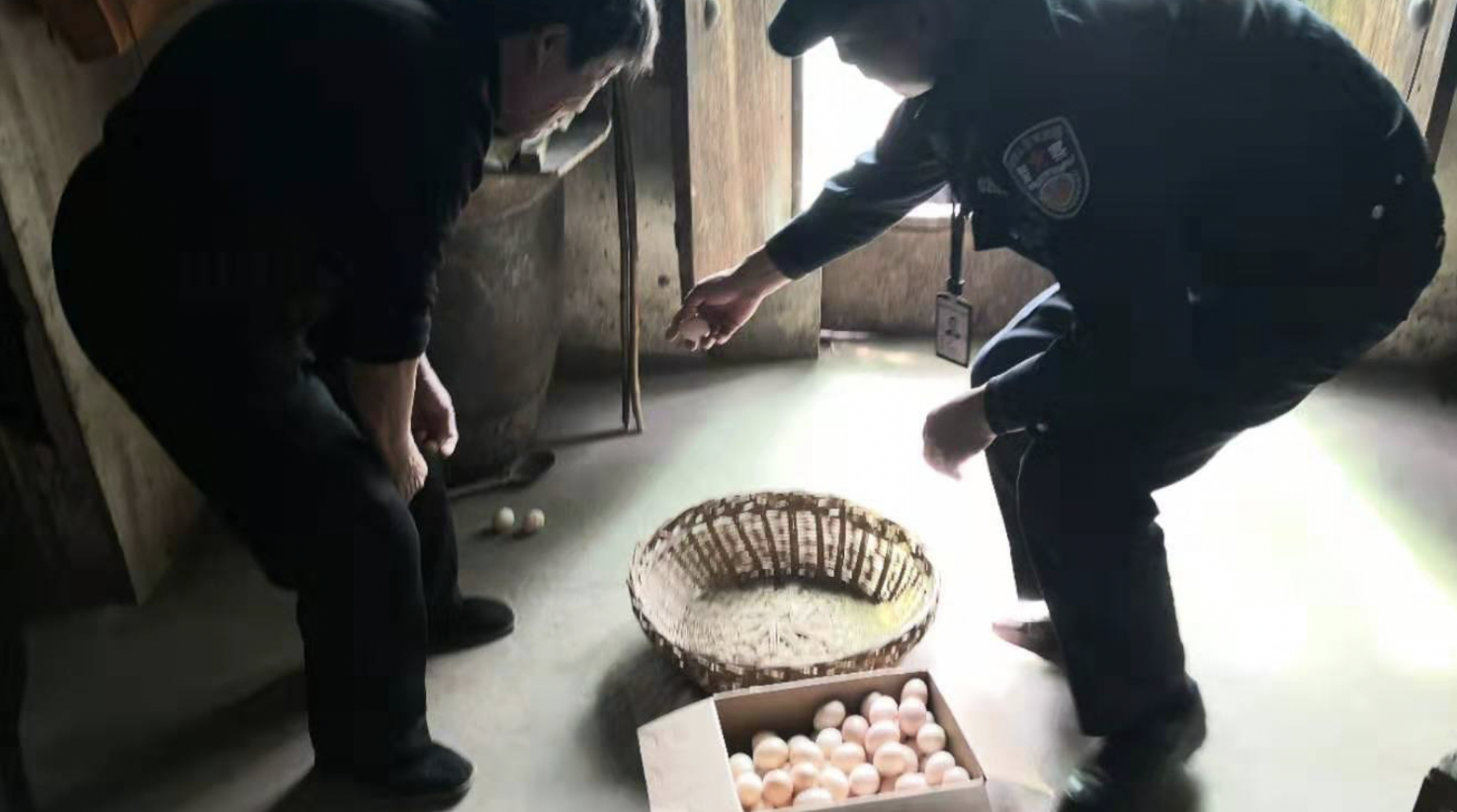 民警变身“微商”,朋友圈帮留守老人卖鸡蛋