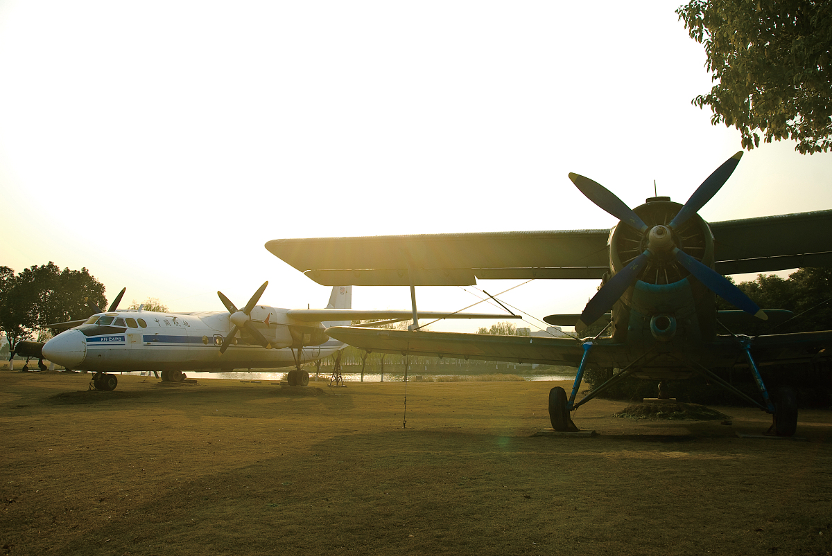 上海工程技术大学国际商务专业怎么样