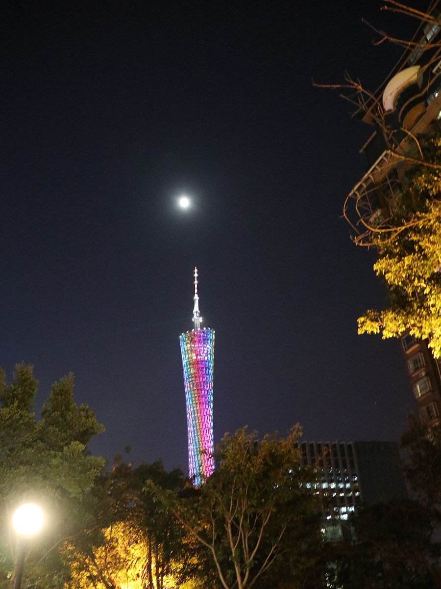 帮我起一个网名