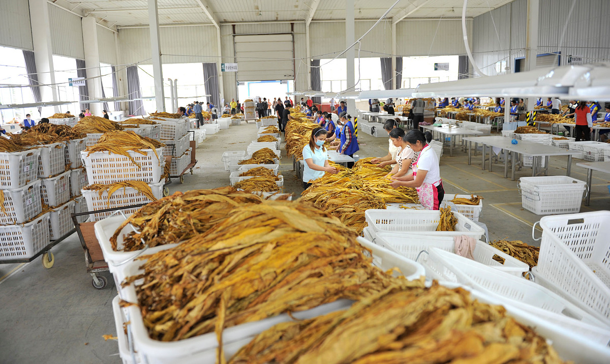 广西2022年中专学校哪个专业最好