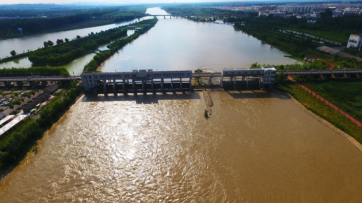 《无节制消费的元凶》观后感：反思与启示