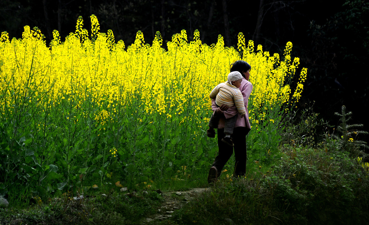 写一篇关于春天的小学生作文