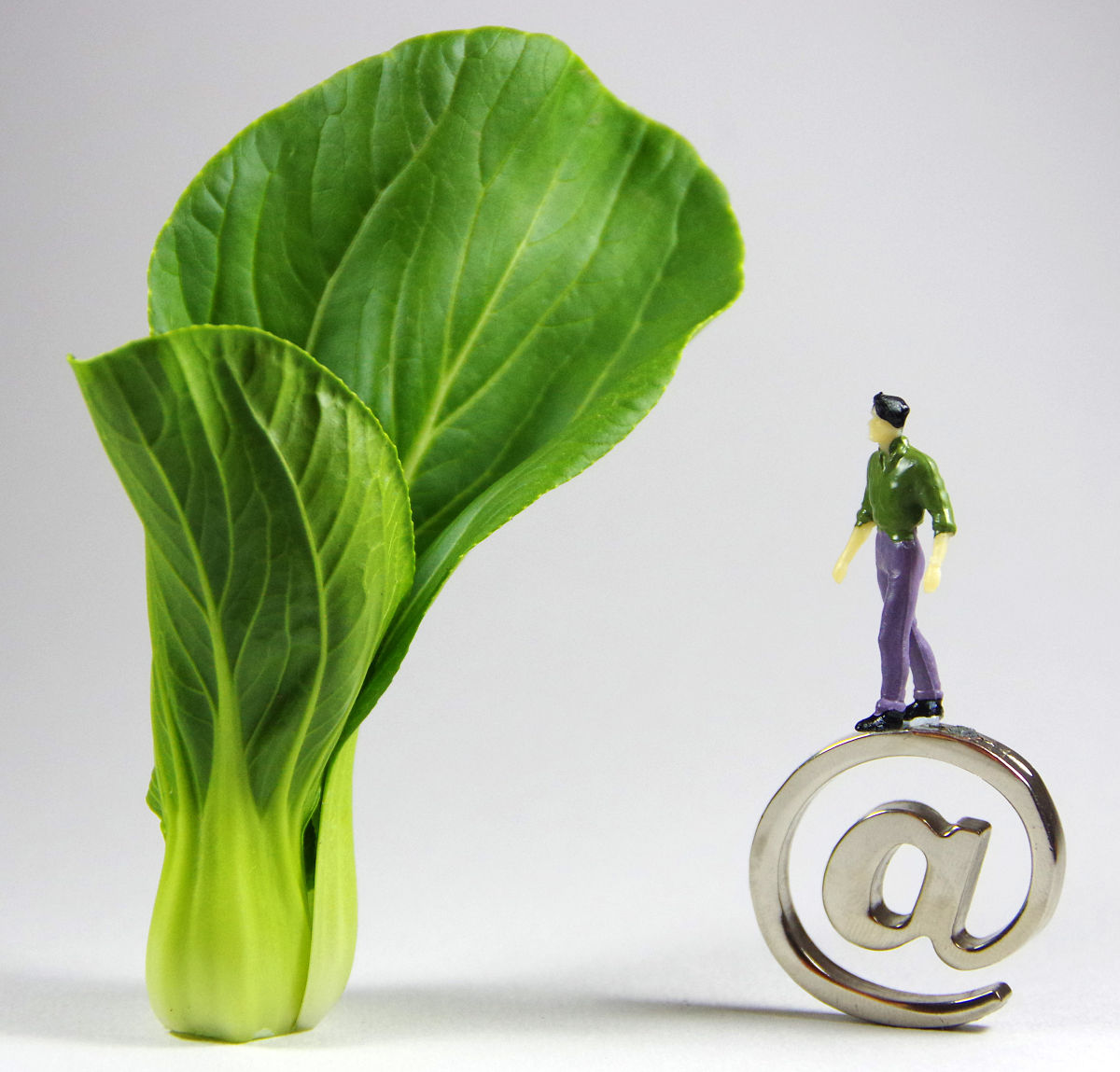 贵州农业职业学院电商专业课程设置:培养未来电商人才