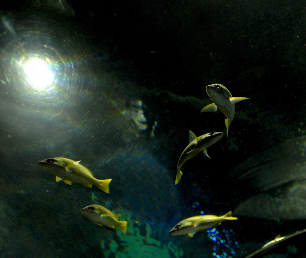 大连海洋学校2022年招生简章