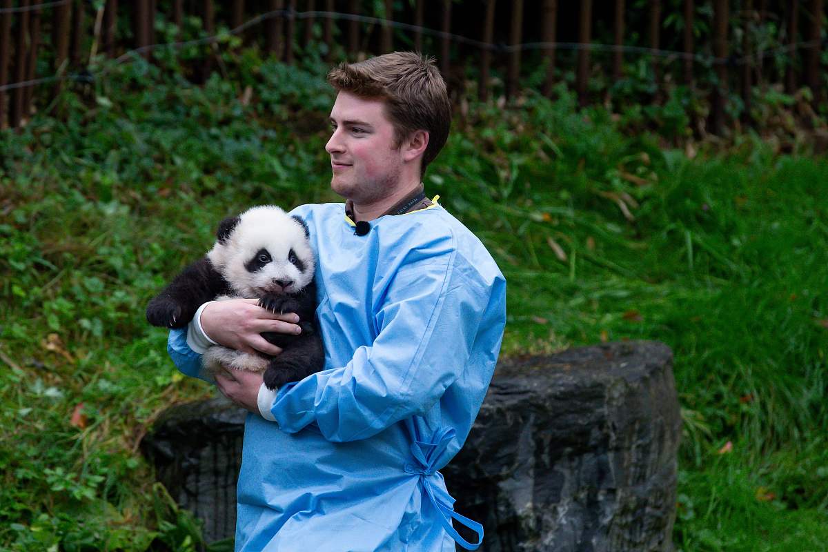 帮董冰孩子取一个名字