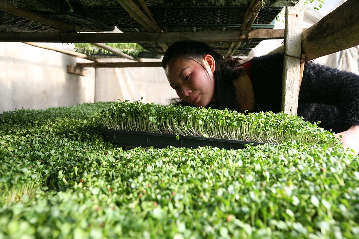 曲靖农业学校2019年五年制招生专业 - 培养农业领域专业人才