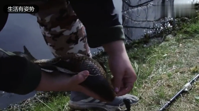 俄罗斯的鱼塘,这里面都是大鲫鱼