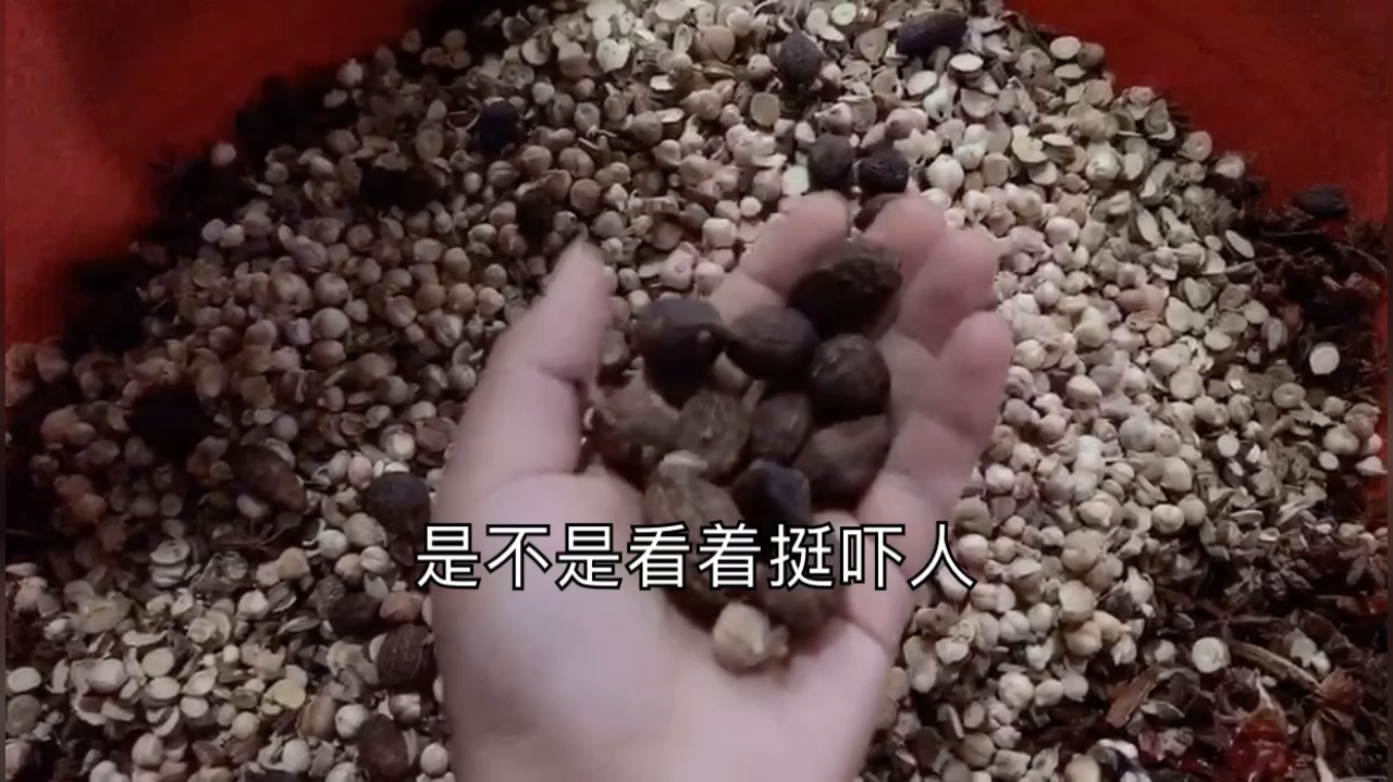 做了七年网红铁板手撕鸭的师傅免费分享中草药配方,不可错过!