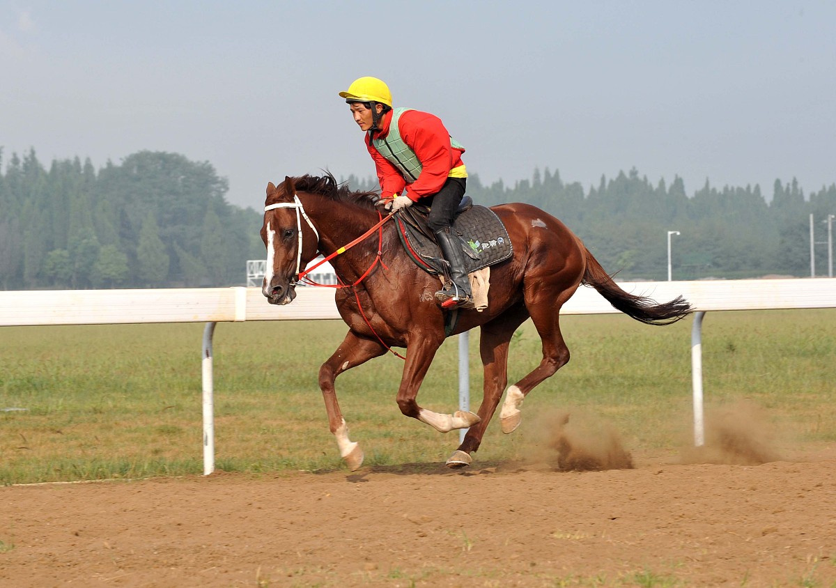 贵州民族大学幼师中专部2021年招生简章 - 报名时间及条件