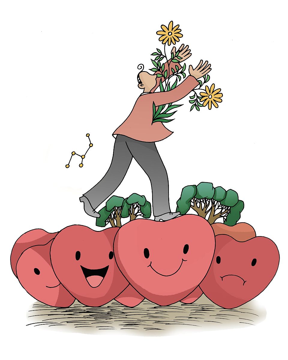 渴望飞翔：一双翅膀的梦想