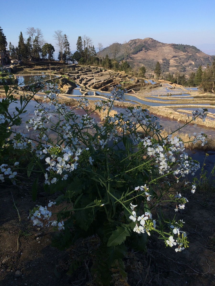 红河州财经学校2021年招生专业及报名指南