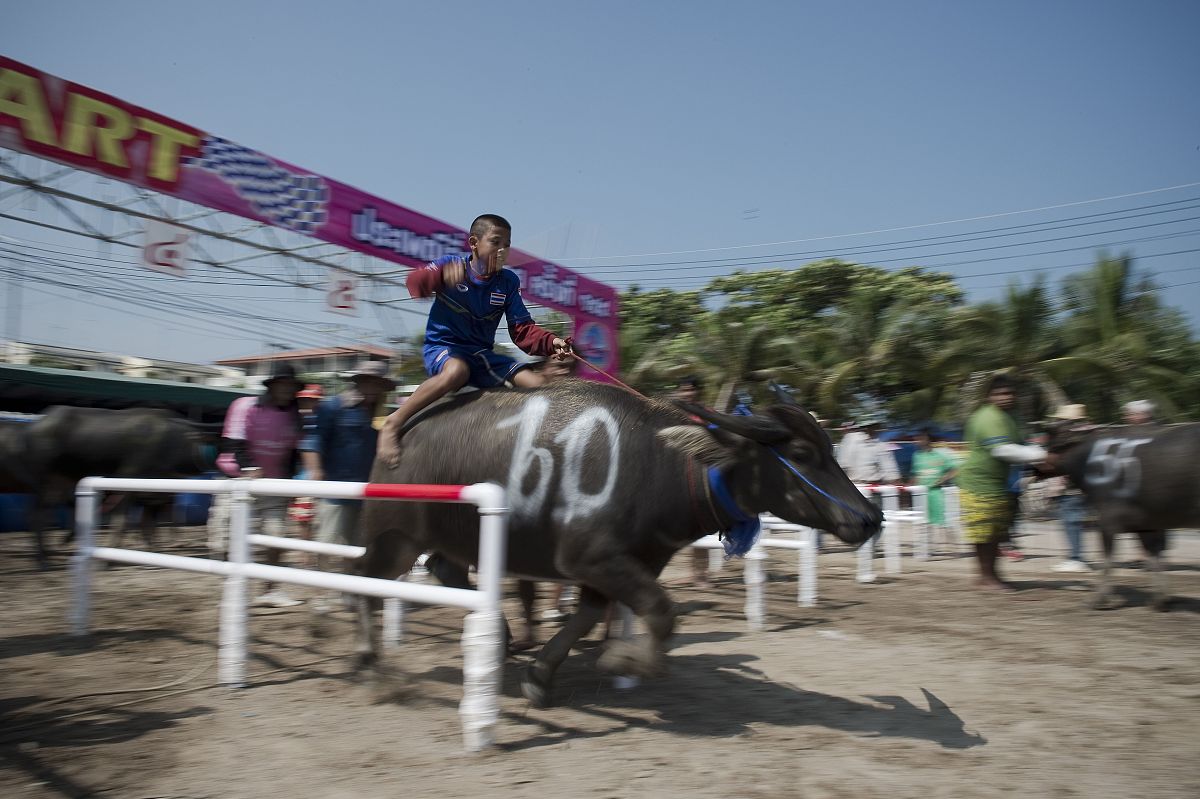 选择场地的三大要素：地点、大小和成本
