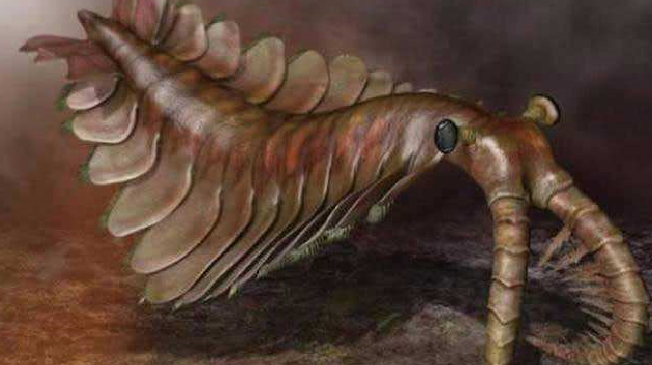 地球的第一任“霸主”长什么样?它是怎么霸占地球的?