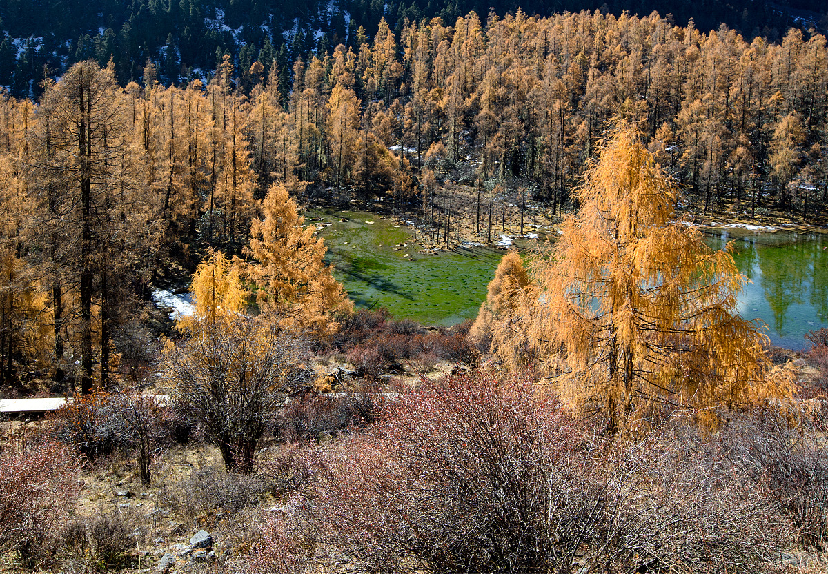 给出一份软件测试工程师的面试问题