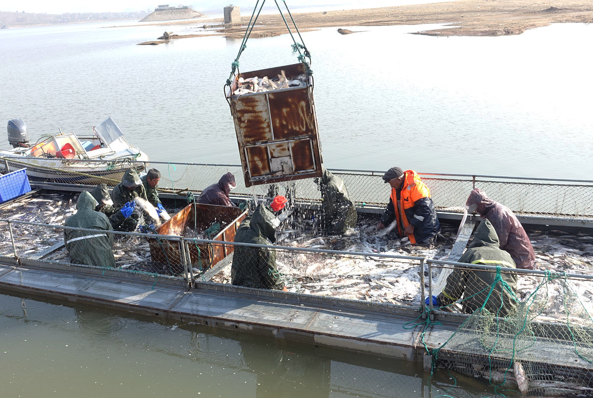 长岛水产职业中等专业学校招生：开启水产养殖行业梦想