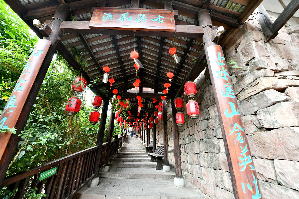 遵义医药高等专科学校2019年招生简章 - 贵州省医药类专科学校