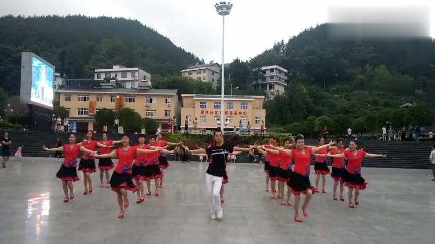 广场舞《油菜花儿开》编舞 杨丽萍