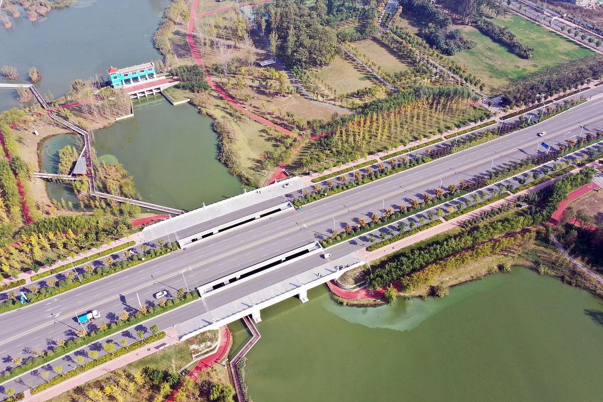 安徽铜陵西湖新区市政道路绿化带景观设计研究
