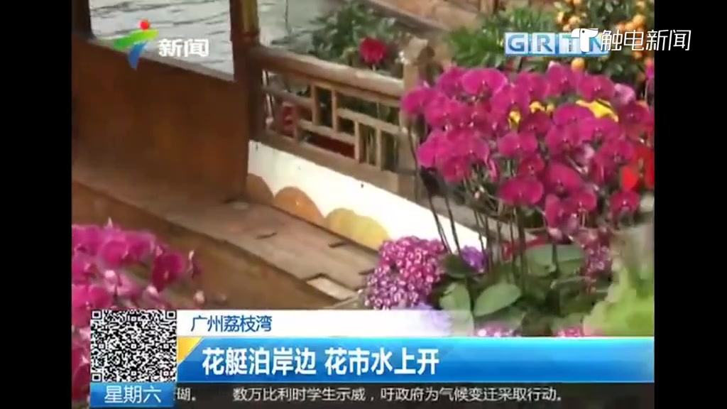 广州荔湾水上花市:最抢手的“意头菜”原来长这样!