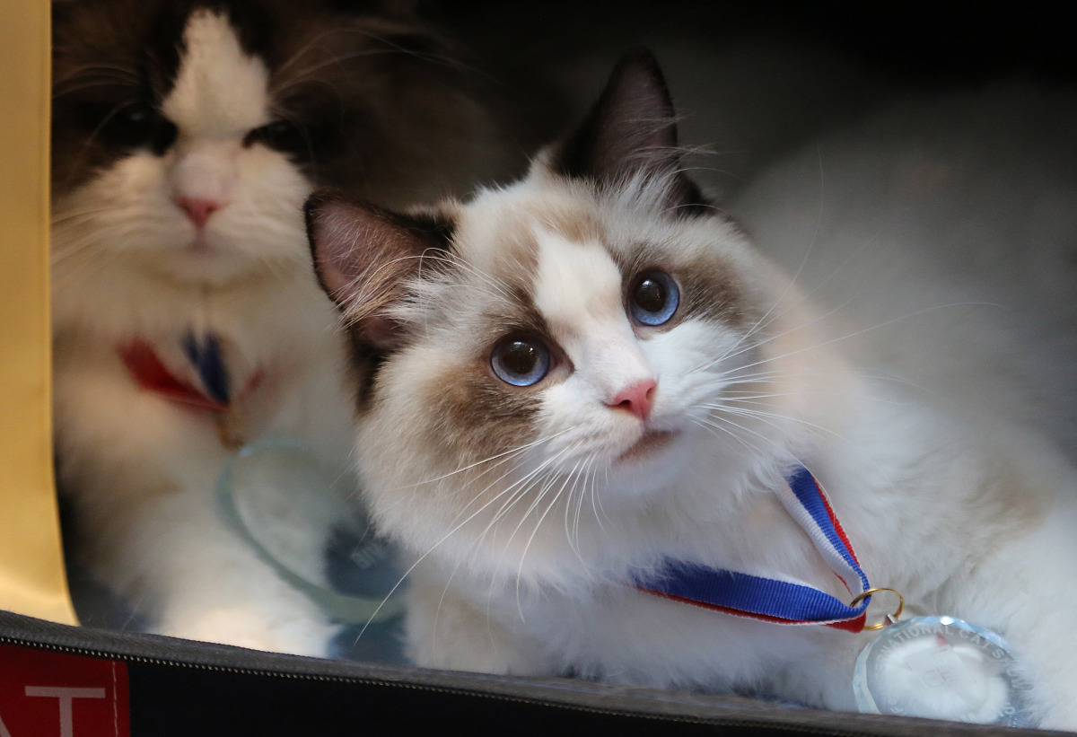 辽宁水利职业学院水文与水资源专业怎么样？前景分析