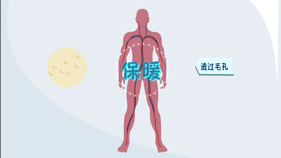当人感觉寒冷时,浑身会起鸡皮疙瘩,那么,脸上会不会起呢?