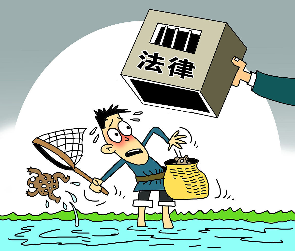 受法律保护的并不仅仅是狮子,老虎这样的珍稀<strong>物种</strong>,还包括癞蛤蟆,青蛙