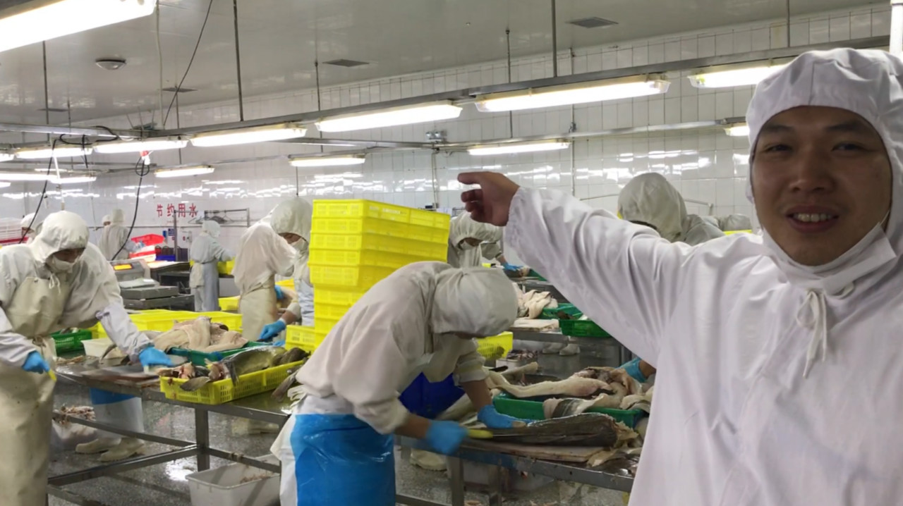 每天片鱼几小时月收入2万,但常年在冷库里,这种工作你愿意吗