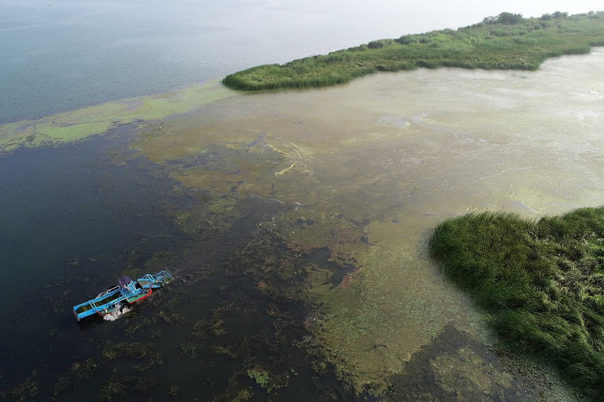 船舶灰水排放：解读《船舶水污染防治技术政策》
