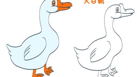 简笔画大全,大白鹅