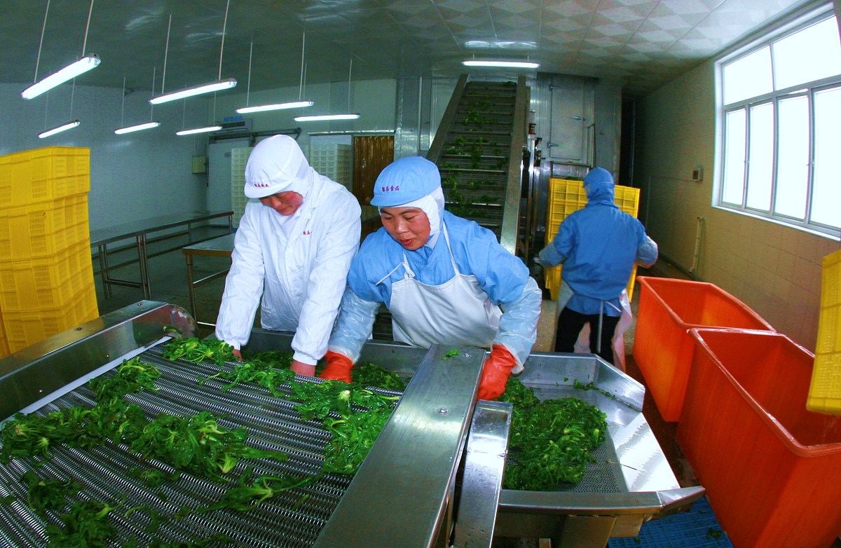 黑龙江农业经济职业学院食品加工技术专业课程设置：食品加工、检测与安全管理人才培养
