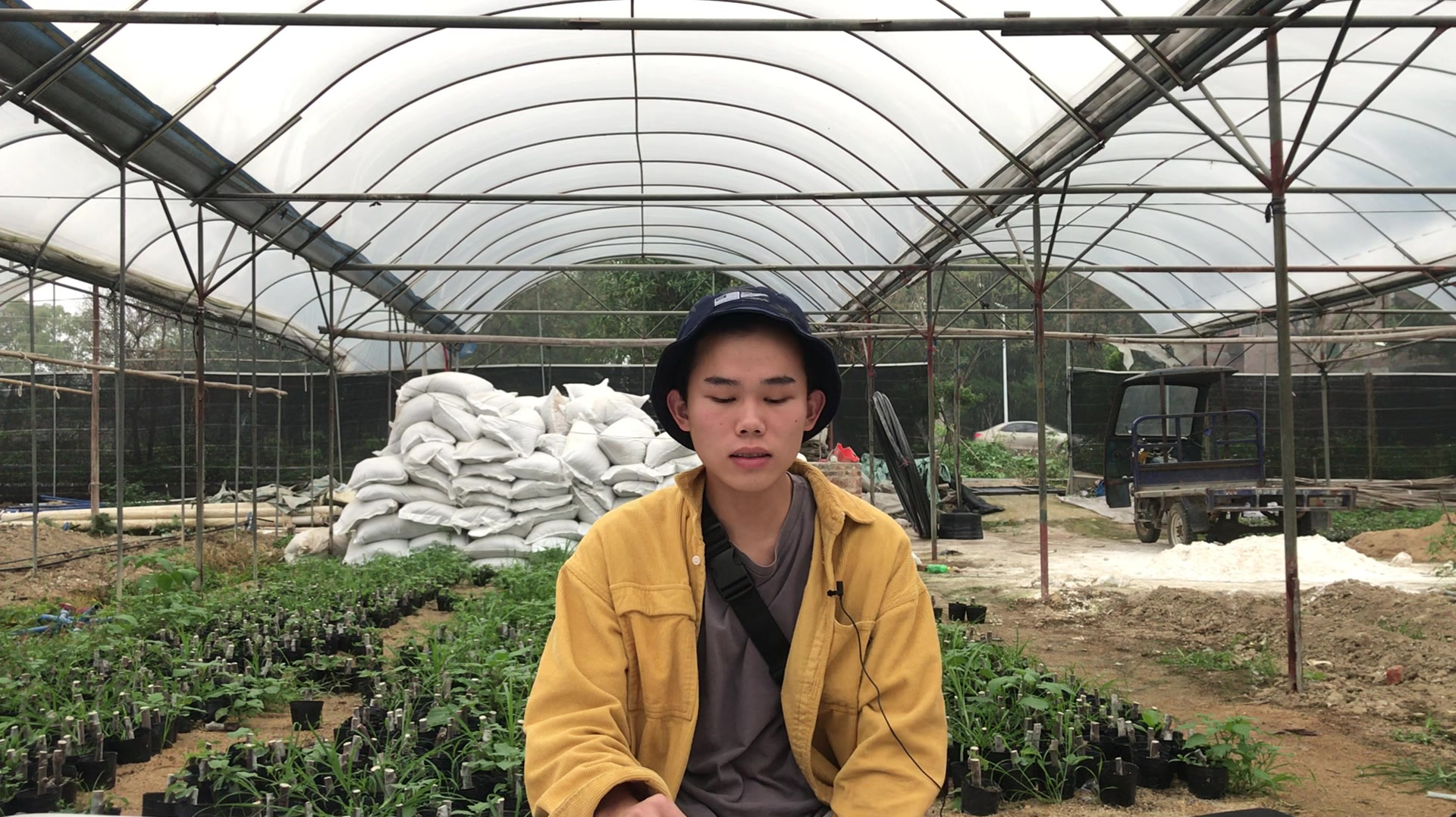 广西小伙子教你种植西瓜,讲述砧木的培养