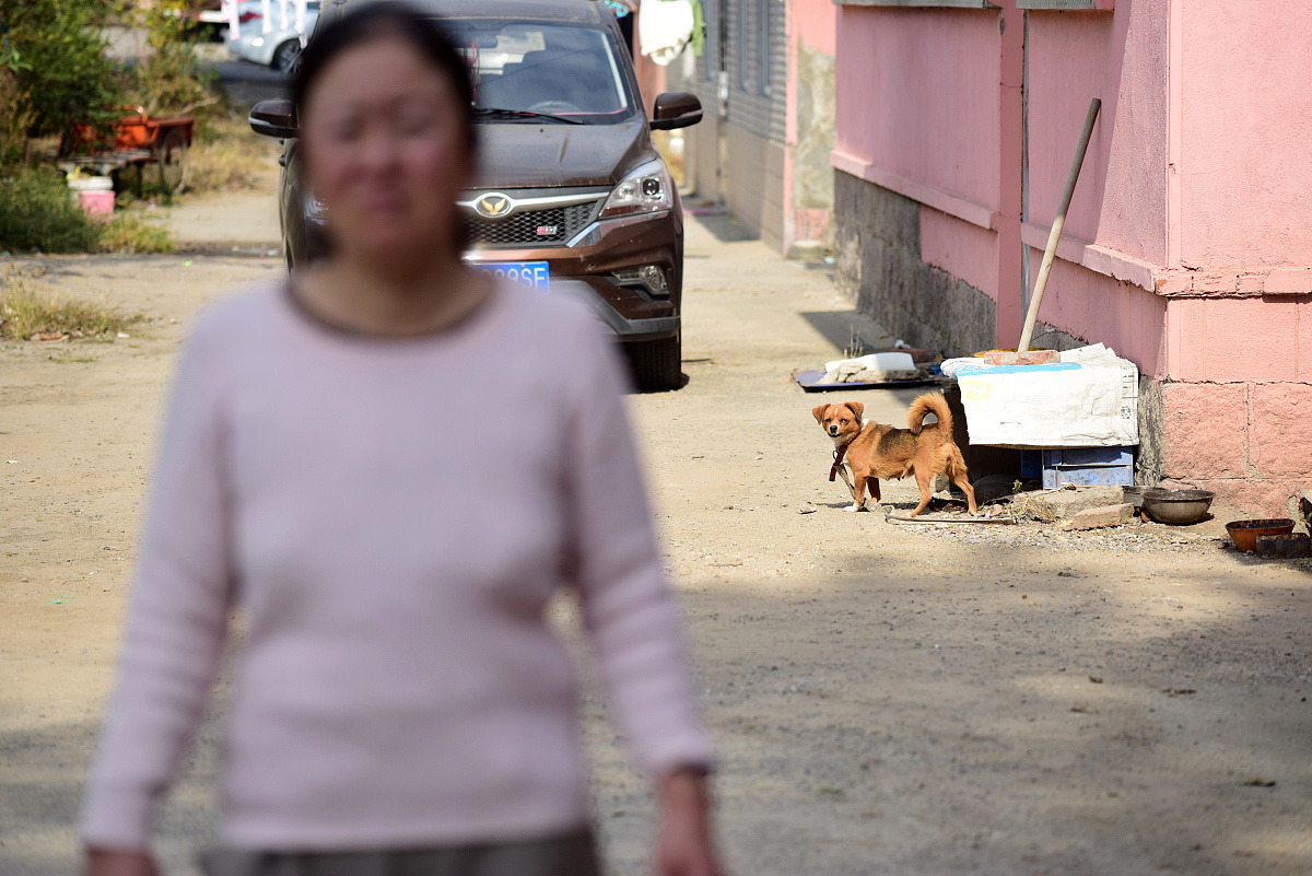 广东机电职业技术学院应用英语专业课程设置有哪些