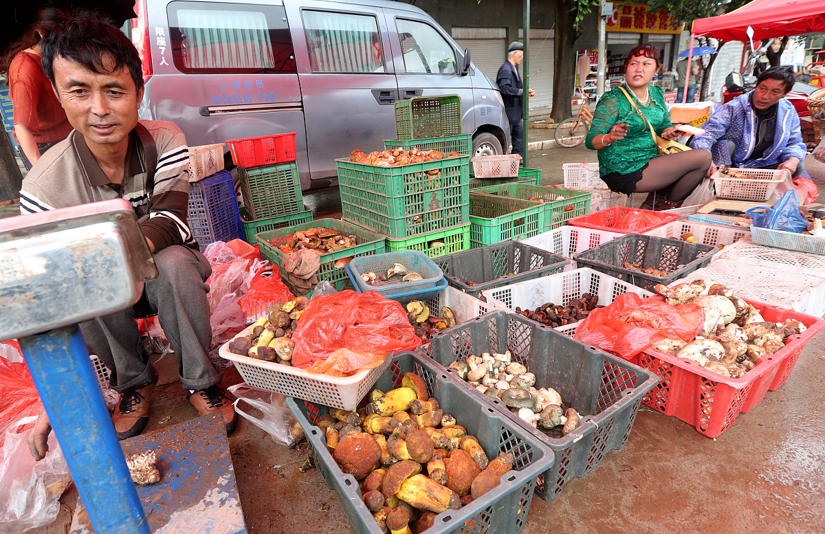楚雄州工业学校建筑装饰专业课程怎么样