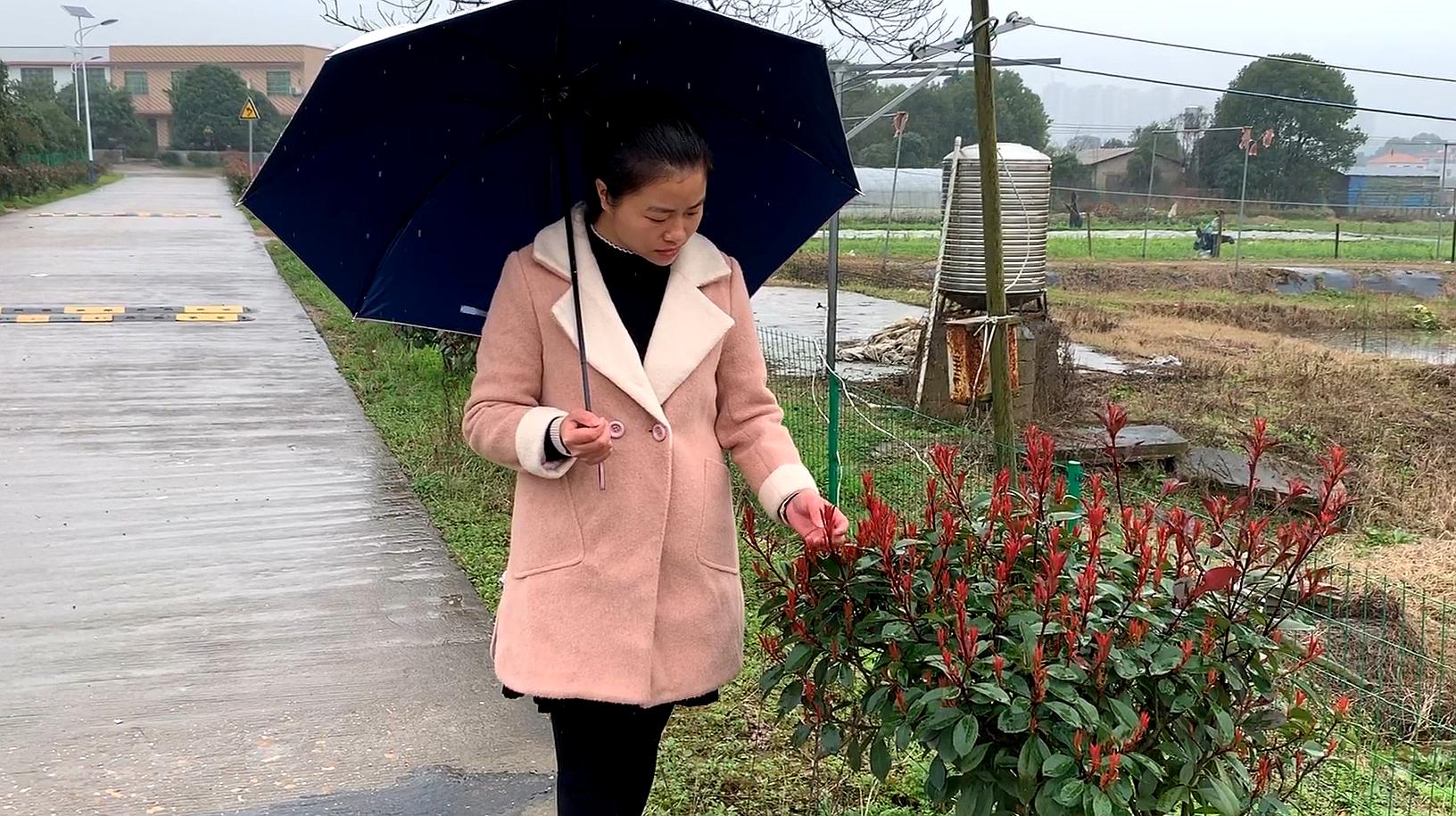 [图]思念难熬啊，美女雨中大唱《你在他乡还好吗》听得难以忘怀