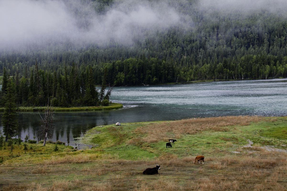 喀纳斯旅游景区的旅游主题形象定位并阐述其内涵2000字